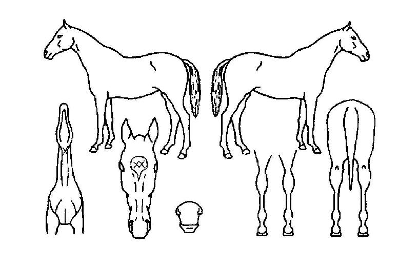 »ù¼Ú´Â¿¡³ÊÁöÀÇ Ãø¸é,¿ì¸é,µÞ¸é,µÎ»ó,´Ù¸®ÀÇ Æ¯Â¡µµÇØ