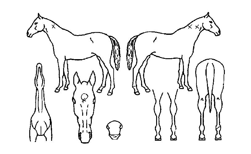 Ŭ���̽��� ����,���,�޸�,�λ�,�ٸ��� Ư¡����