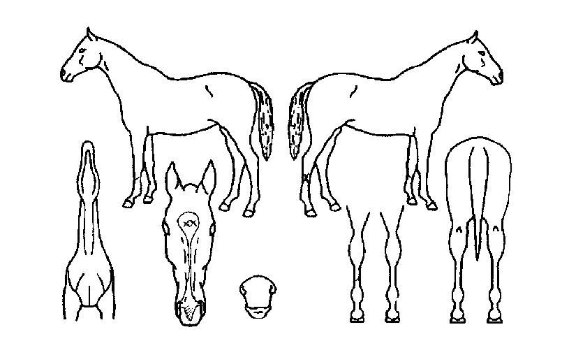 ����ũ���̽��� ����,���,�޸�,�λ�,�ٸ��� Ư¡����