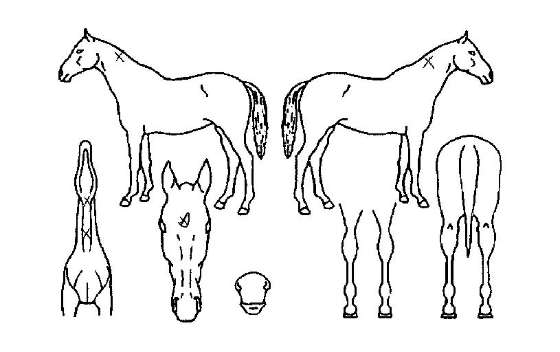 ��������� ����,���,�޸�,�λ�,�ٸ��� Ư¡����