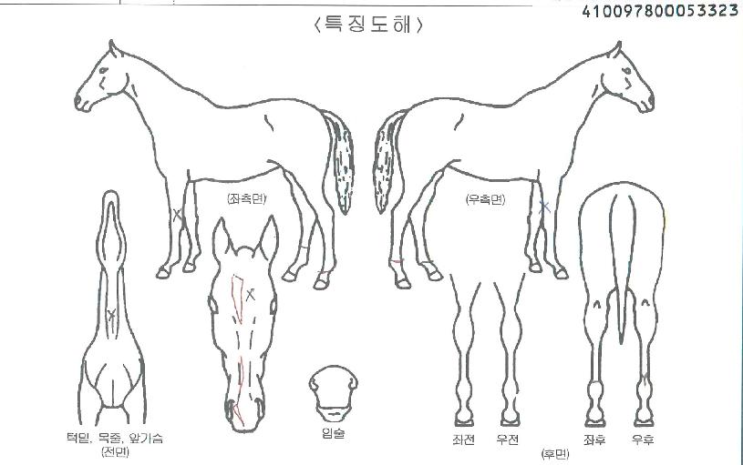 �̼��� ����,���,�޸�,�λ�,�ٸ��� Ư¡����