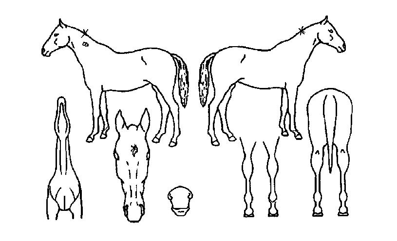 ���̽������� ����,���,�޸�,�λ�,�ٸ��� Ư¡����