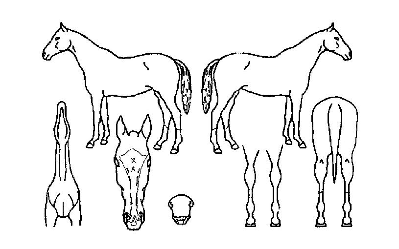 �������� ����,���,�޸�,�λ�,�ٸ��� Ư¡����