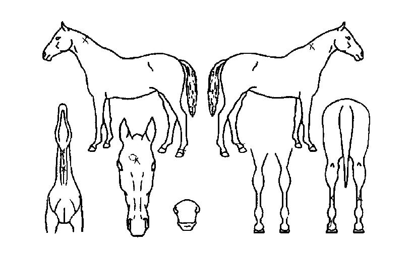 �̽��͸���ƾ�� ����,���,�޸�,�λ�,�ٸ��� Ư¡����