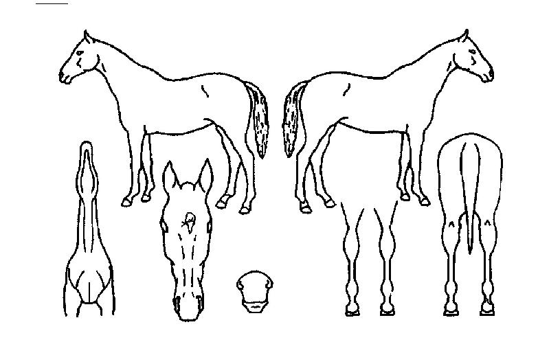 �δ����� ����,���,�޸�,�λ�,�ٸ��� Ư¡����