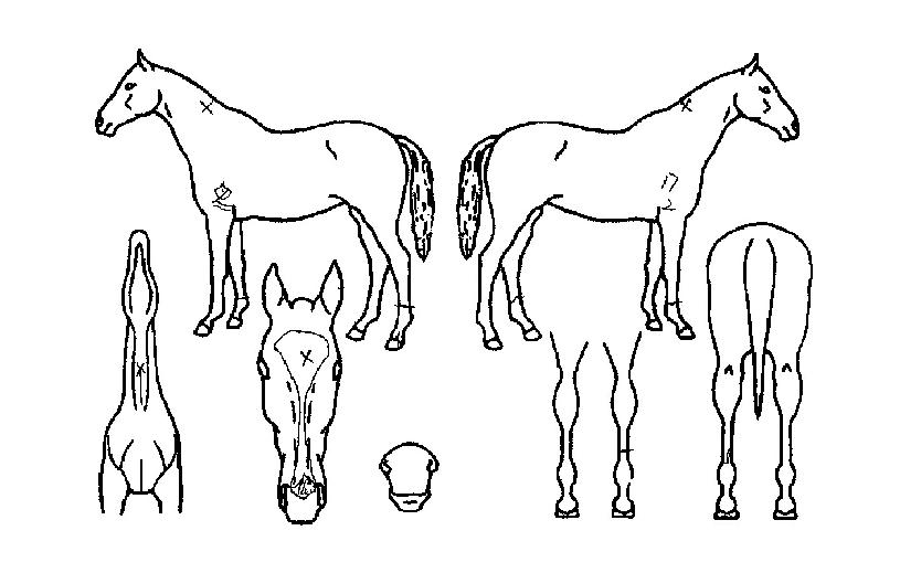 ĳ���а����� ����,���,�޸�,�λ�,�ٸ��� Ư¡����