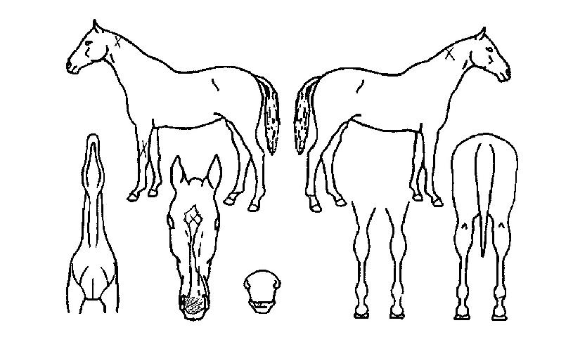 �������� ����,���,�޸�,�λ�,�ٸ��� Ư¡����