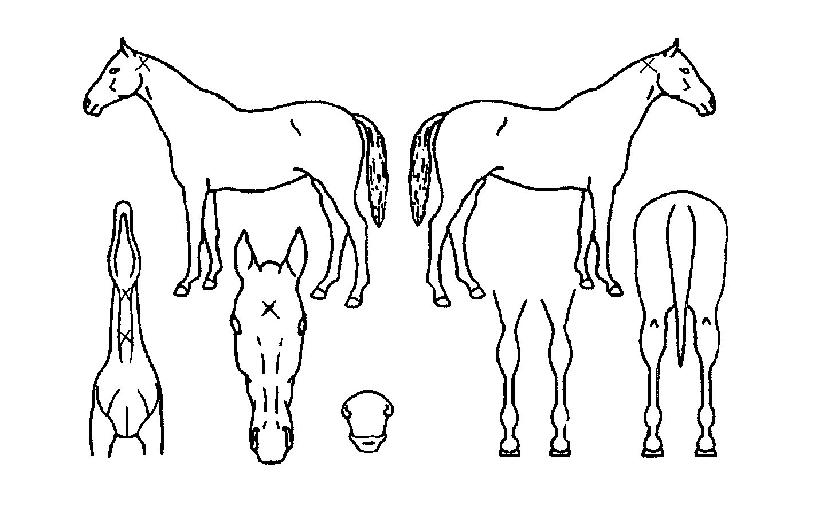 �������� ����,���,�޸�,�λ�,�ٸ��� Ư¡����