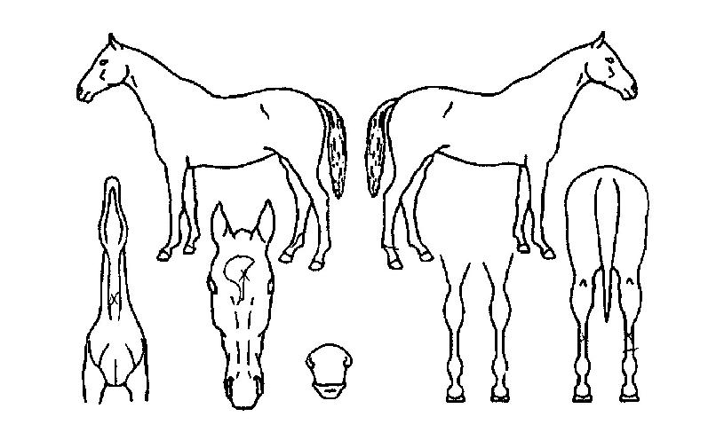 ��Ű������ ����,���,�޸�,�λ�,�ٸ��� Ư¡����