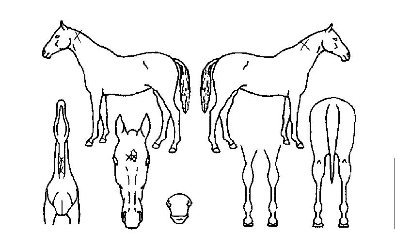 â°øÀǹٴÙÀÇ Ãø¸é,¿ì¸é,µÞ¸é,µÎ»ó,´Ù¸®ÀÇ Æ¯Â¡µµÇØ