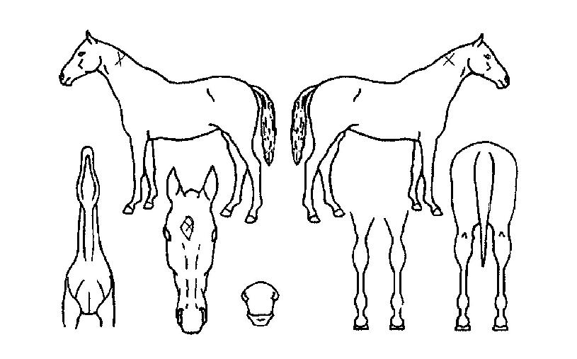 ���ֿ����� ����,���,�޸�,�λ�,�ٸ��� Ư¡����