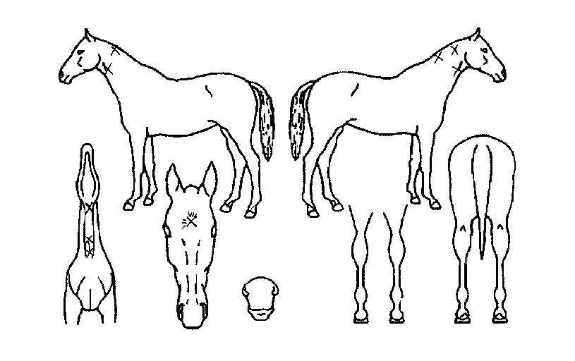 Ǯ������ ����,���,�޸�,�λ�,�ٸ��� Ư¡����