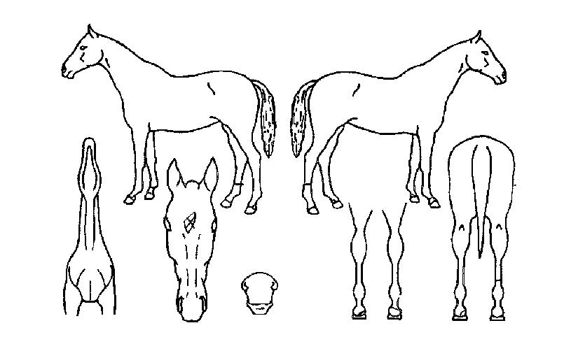 ī��Ƽ���� ����,���,�޸�,�λ�,�ٸ��� Ư¡����