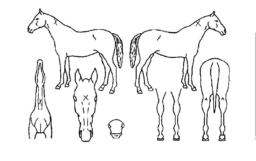 ������� ����,���,�޸�,�λ�,�ٸ��� Ư¡����