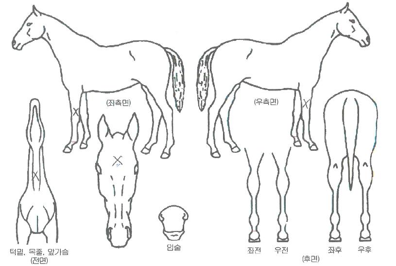 ��ġ���� ����,���,�޸�,�λ�,�ٸ��� Ư¡����