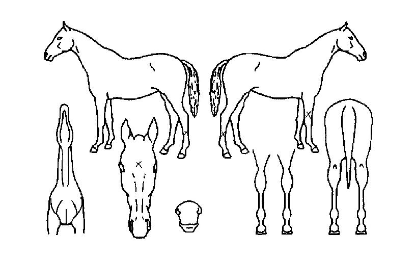 ¿ë¿Õ½Ã´ëÀÇ Ãø¸é,¿ì¸é,µÞ¸é,µÎ»ó,´Ù¸®ÀÇ Æ¯Â¡µµÇØ