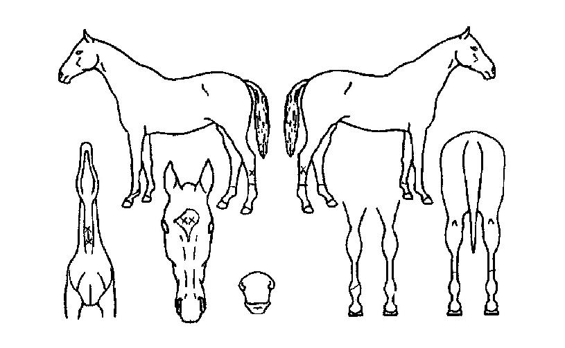 ������������ ����,���,�޸�,�λ�,�ٸ��� Ư¡����