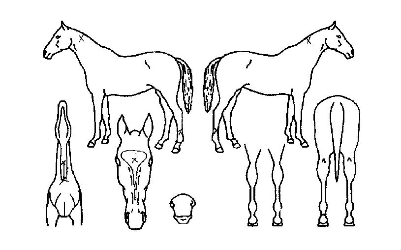 ���۽��� ����,���,�޸�,�λ�,�ٸ��� Ư¡����