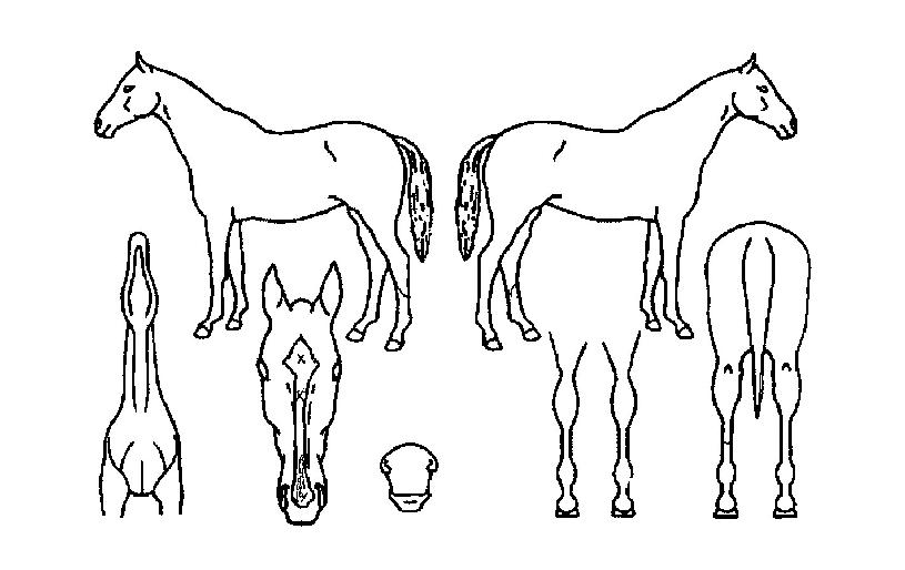 ������ȭ�� ����,���,�޸�,�λ�,�ٸ��� Ư¡����