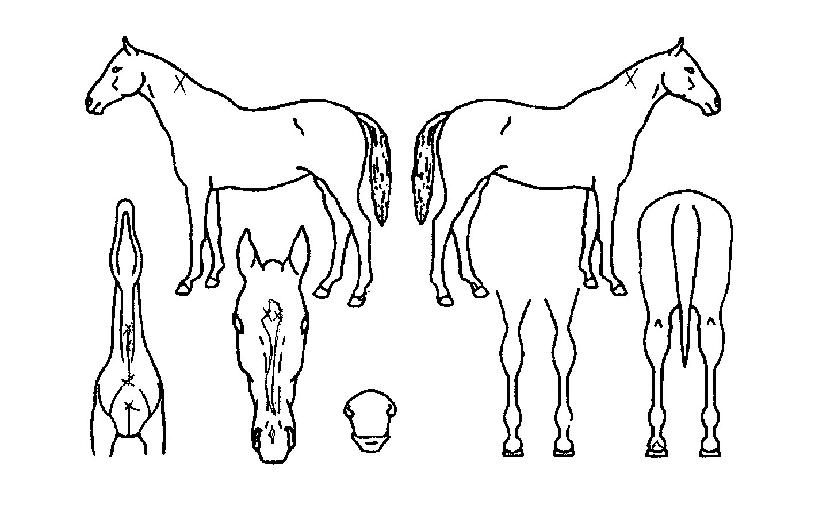 ���ý�Ÿ�� ����,���,�޸�,�λ�,�ٸ��� Ư¡����