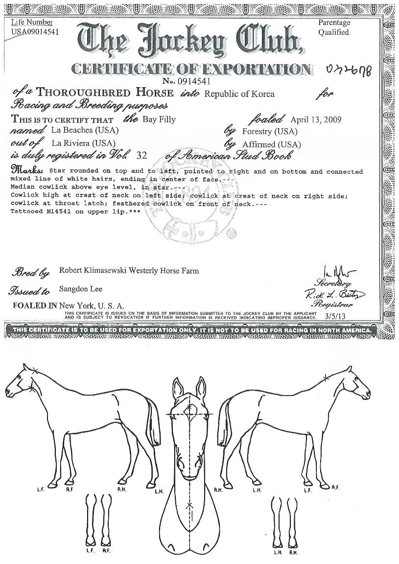 ¶óºñÄ¡½ºÀÇ Ãø¸é,¿ì¸é,µÞ¸é,µÎ»ó,´Ù¸®ÀÇ Æ¯Â¡µµÇØ