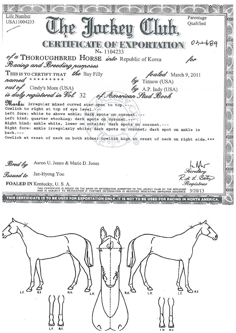 ���Ŀ����� ����,���,�޸�,�λ�,�ٸ��� Ư¡����