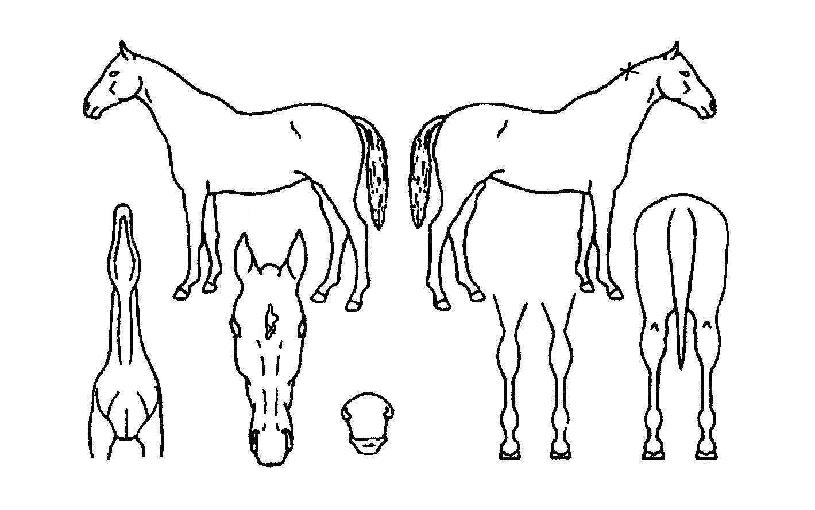 ��â��ȣ�� ����,���,�޸�,�λ�,�ٸ��� Ư¡����