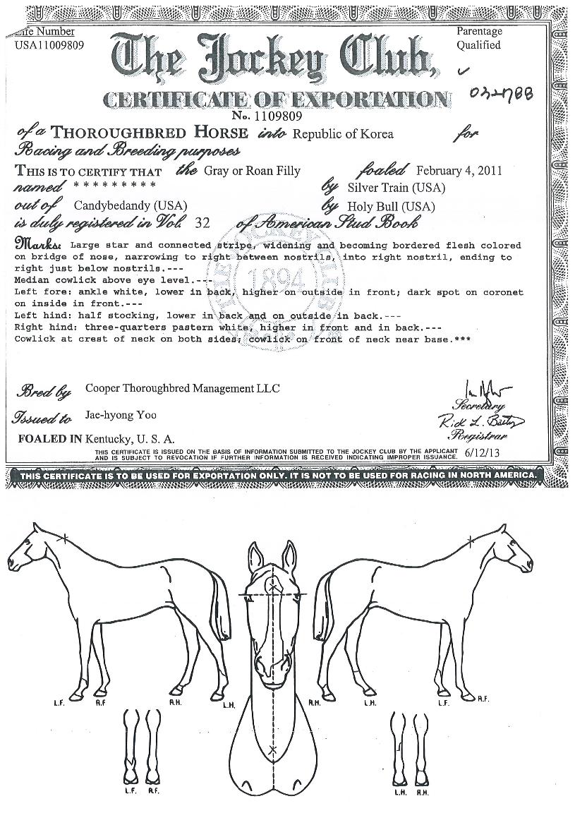 Åé¾Öµå¸Ó·²ÀÇ Ãø¸é,¿ì¸é,µÞ¸é,µÎ»ó,´Ù¸®ÀÇ Æ¯Â¡µµÇØ