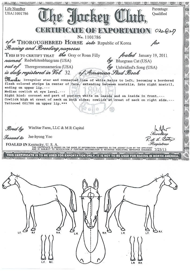 ����ȭ��Ʈ�غ����� ����,���,�޸�,�λ�,�ٸ��� Ư¡����