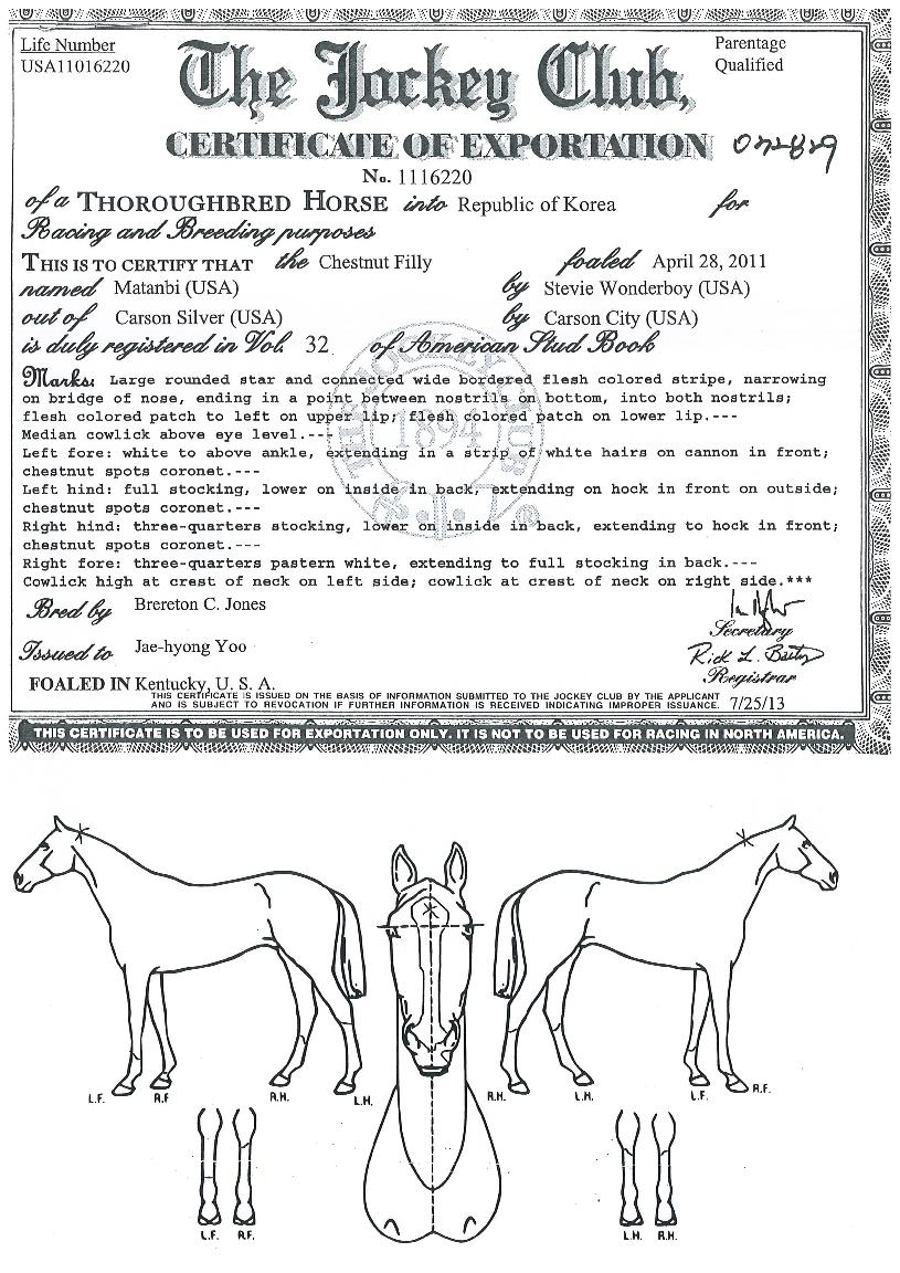 ��ź���� ����,���,�޸�,�λ�,�ٸ��� Ư¡����