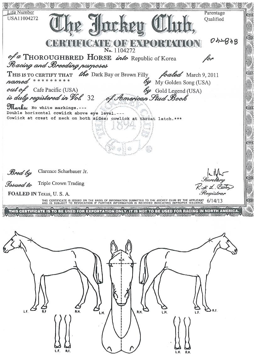 �췷������ ����,���,�޸�,�λ�,�ٸ��� Ư¡����