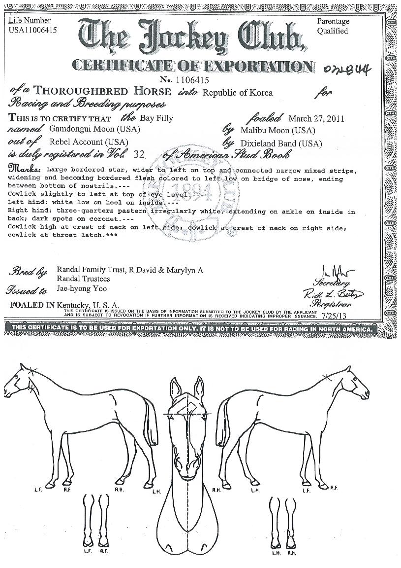 °¨µ¿Àǹ®ÀÇ Ãø¸é,¿ì¸é,µÞ¸é,µÎ»ó,´Ù¸®ÀÇ Æ¯Â¡µµÇØ