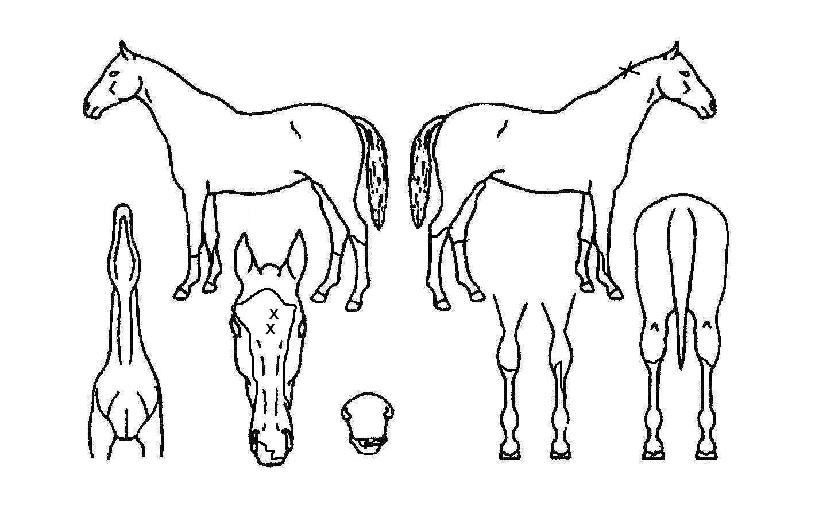 ���ں������� ����,���,�޸�,�λ�,�ٸ��� Ư¡����