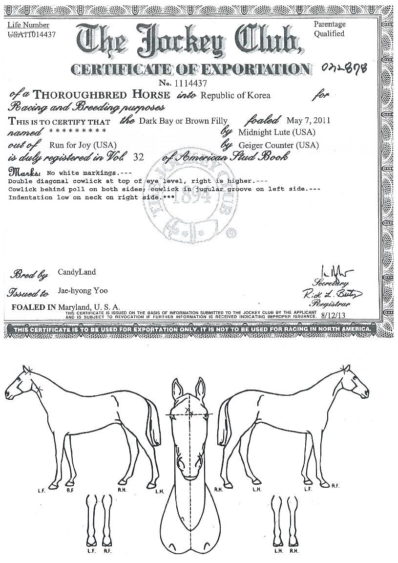 ÅÛÇÃÅ×À̼ÇÀÇ Ãø¸é,¿ì¸é,µÞ¸é,µÎ»ó,´Ù¸®ÀÇ Æ¯Â¡µµÇØ