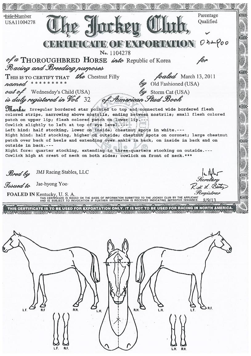 µµ¿ø°áÀÇÀÇ Ãø¸é,¿ì¸é,µÞ¸é,µÎ»ó,´Ù¸®ÀÇ Æ¯Â¡µµÇØ