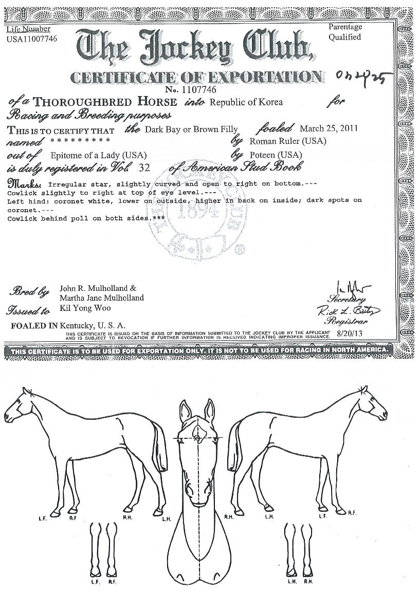 Áúdz´ë¼¼ÀÇ Ãø¸é,¿ì¸é,µÞ¸é,µÎ»ó,´Ù¸®ÀÇ Æ¯Â¡µµÇØ