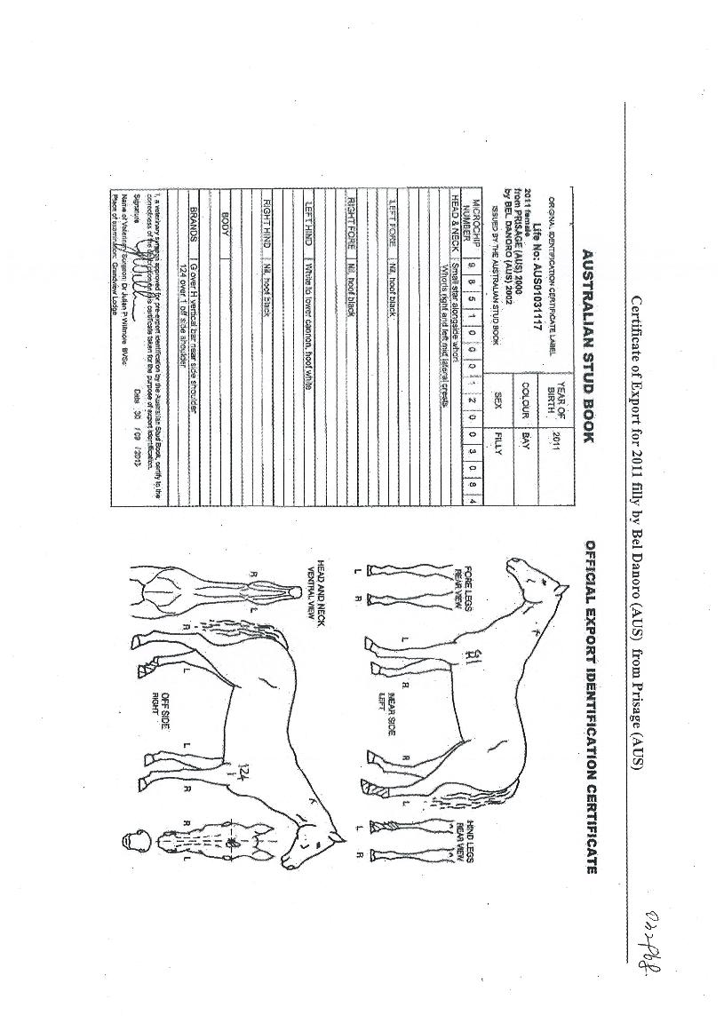 ��Ÿ������ ����,���,�޸�,�λ�,�ٸ��� Ư¡����