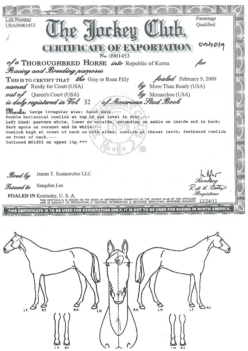 ·¹µðÆ÷ÄÚÆ®ÀÇ Ãø¸é,¿ì¸é,µÞ¸é,µÎ»ó,´Ù¸®ÀÇ Æ¯Â¡µµÇØ