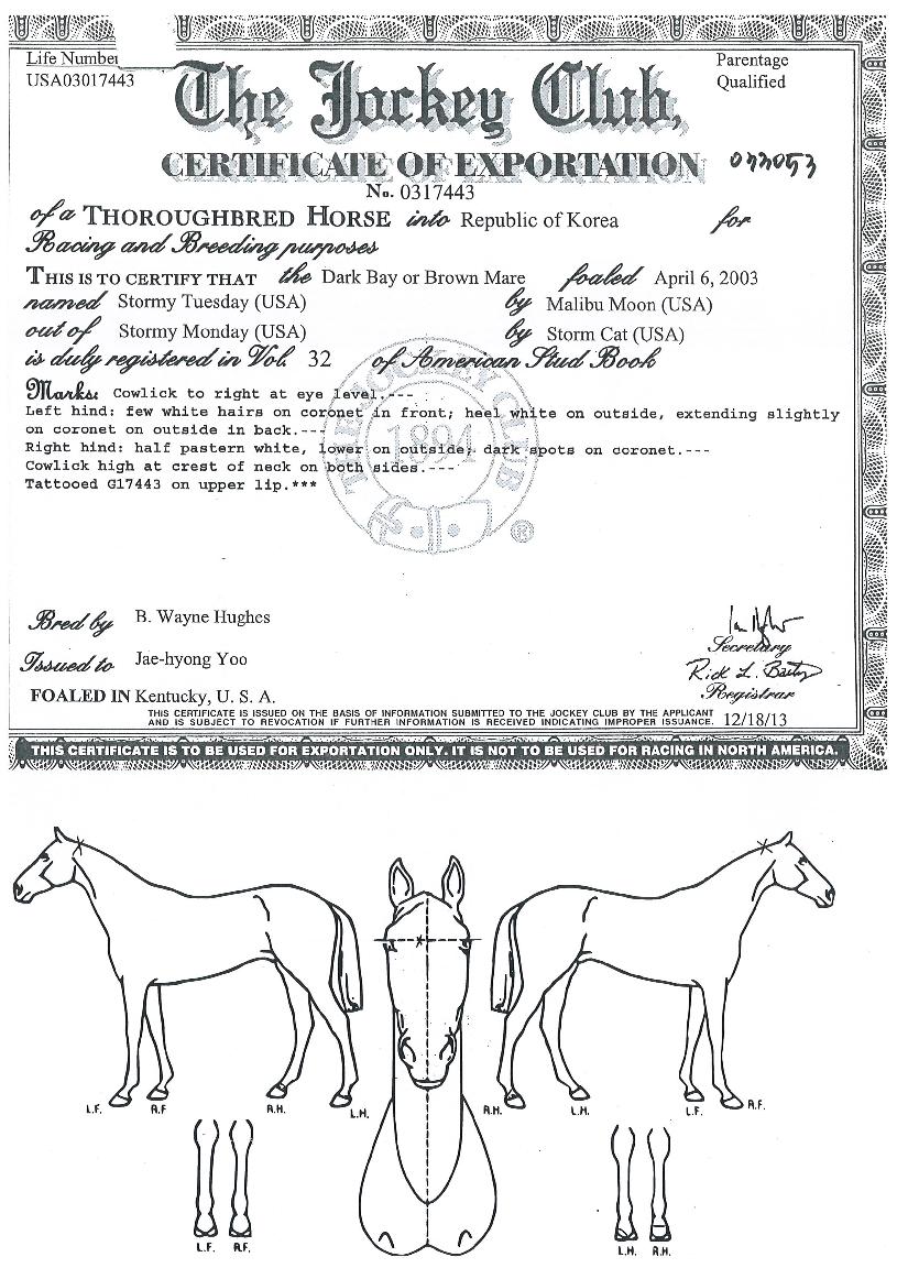 �����Ʃ�������� ����,���,�޸�,�λ�,�ٸ��� Ư¡����