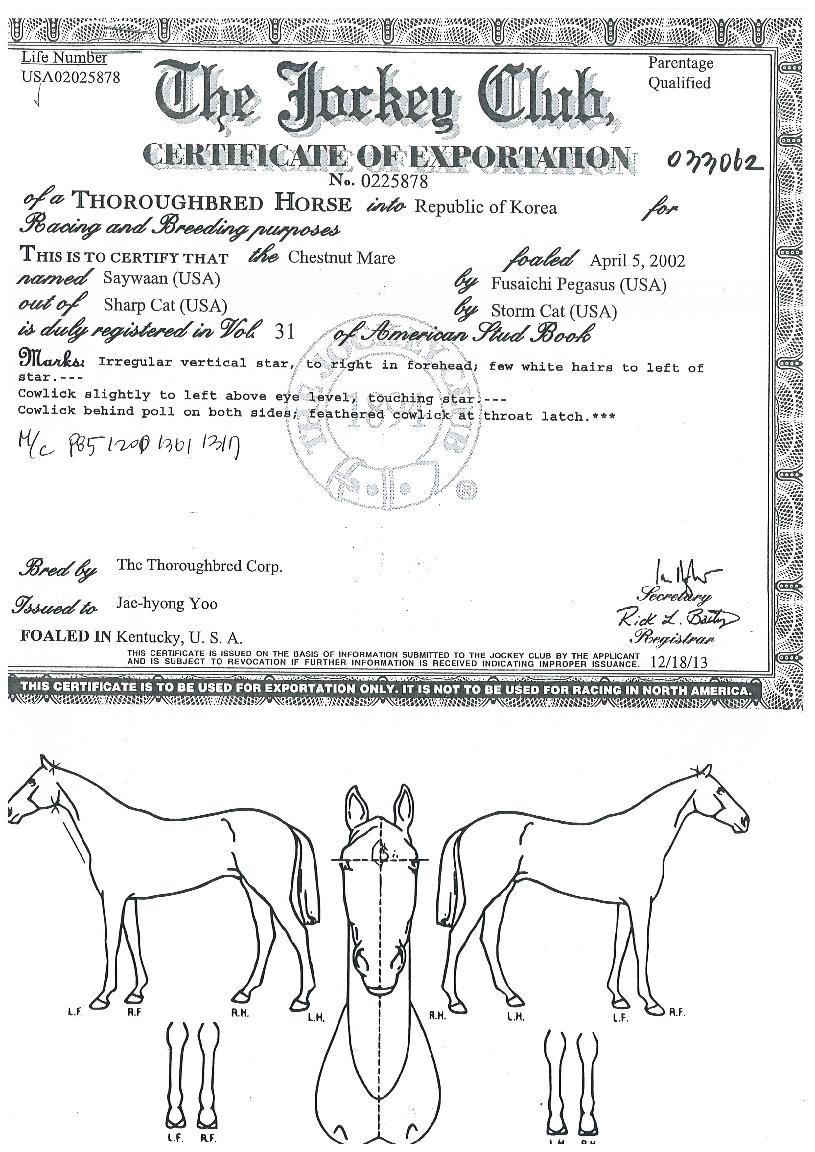 ¼¼ÀÌ¿ÏÀÇ Ãø¸é,¿ì¸é,µÞ¸é,µÎ»ó,´Ù¸®ÀÇ Æ¯Â¡µµÇØ