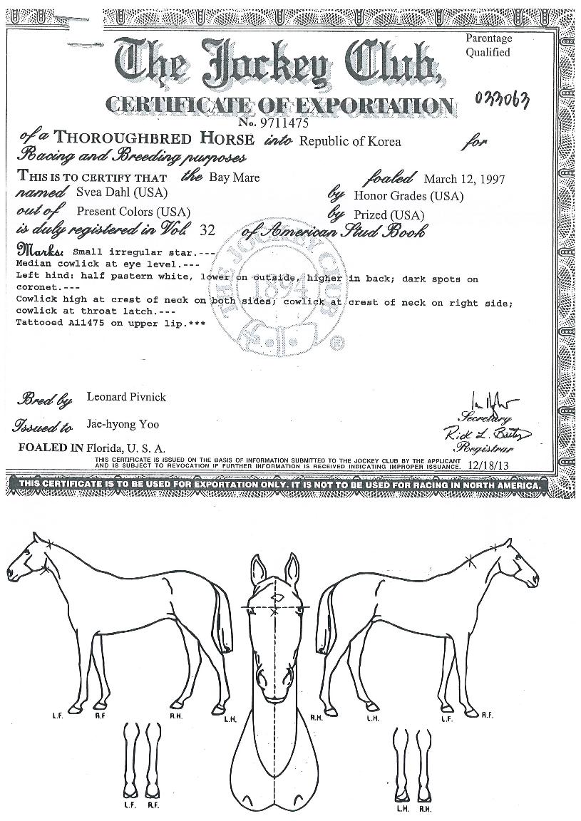 �������� ����,���,�޸�,�λ�,�ٸ��� Ư¡����