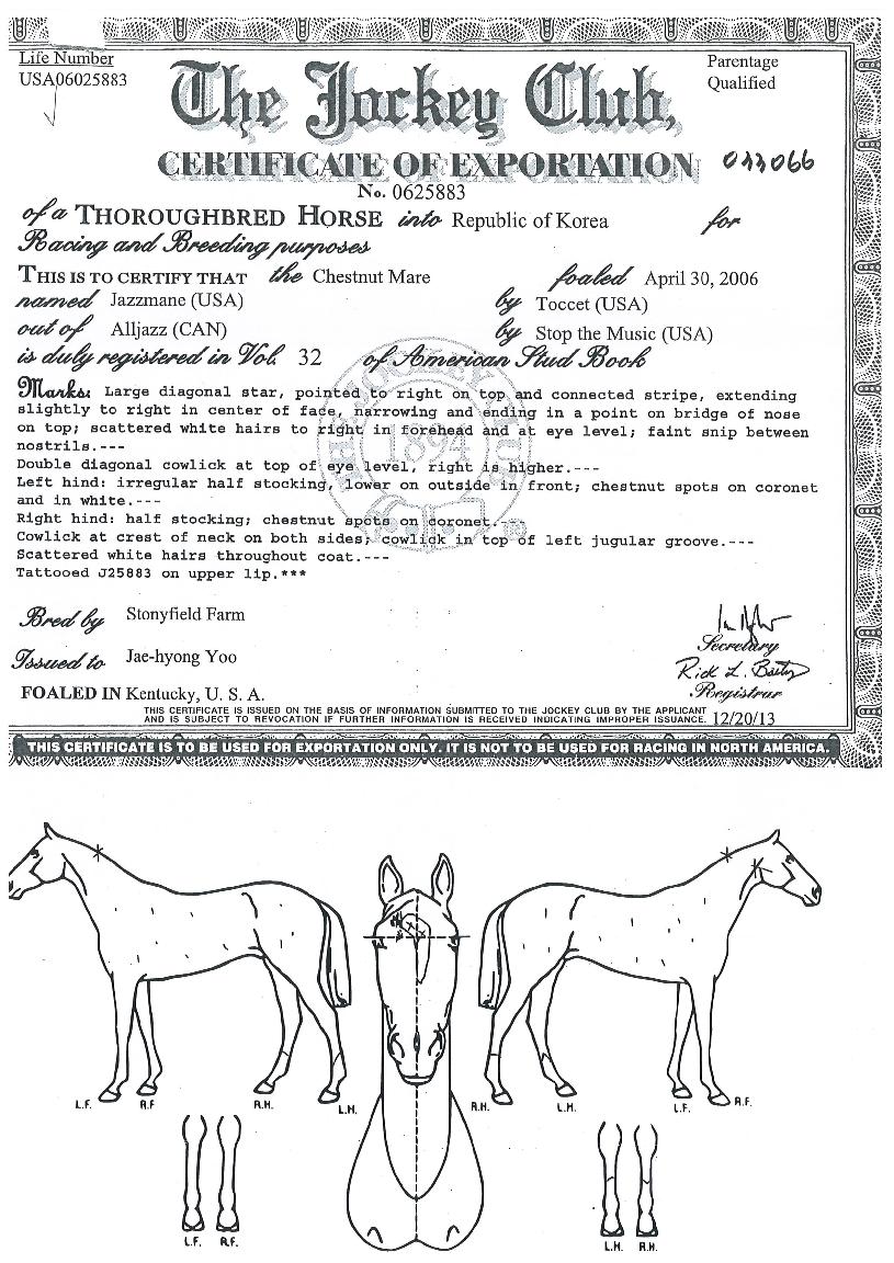 °Áî¸ÕÀÇ Ãø¸é,¿ì¸é,µÞ¸é,µÎ»ó,´Ù¸®ÀÇ Æ¯Â¡µµÇØ