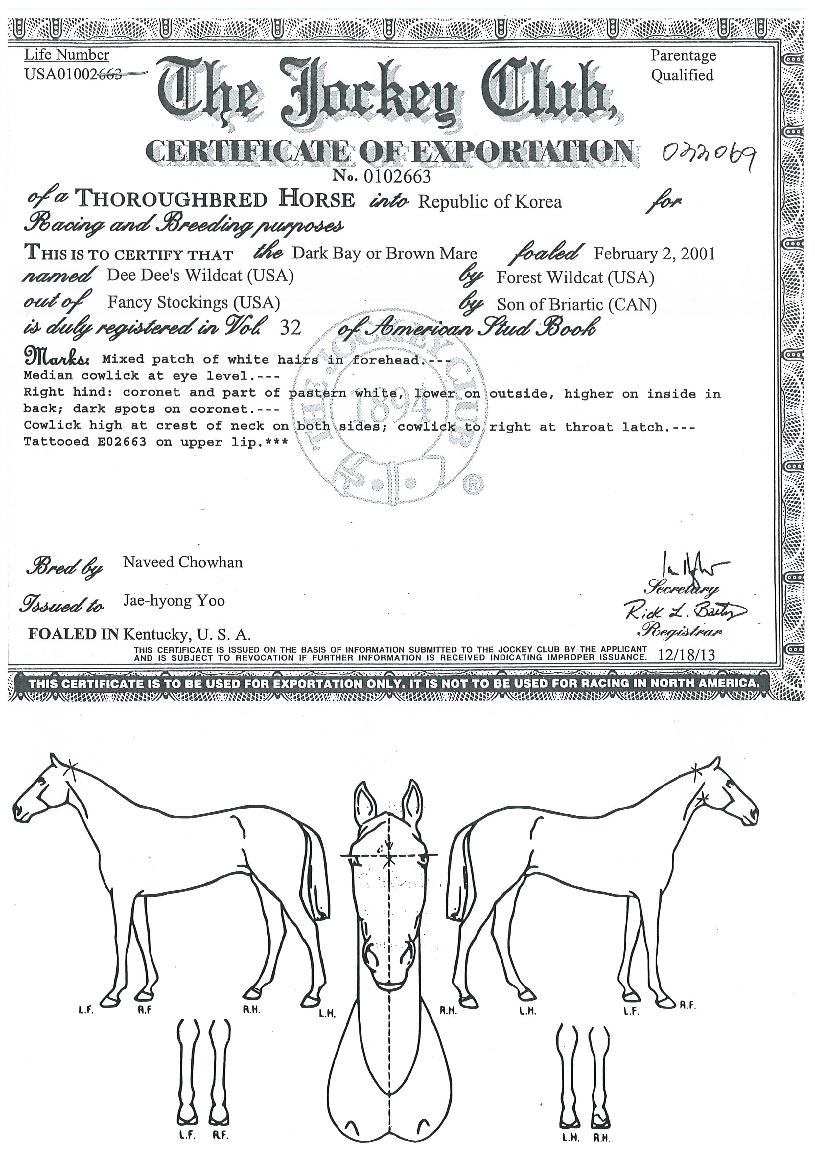 µðµð½º¿ÍÀϵåĹÀÇ Ãø¸é,¿ì¸é,µÞ¸é,µÎ»ó,´Ù¸®ÀÇ Æ¯Â¡µµÇØ