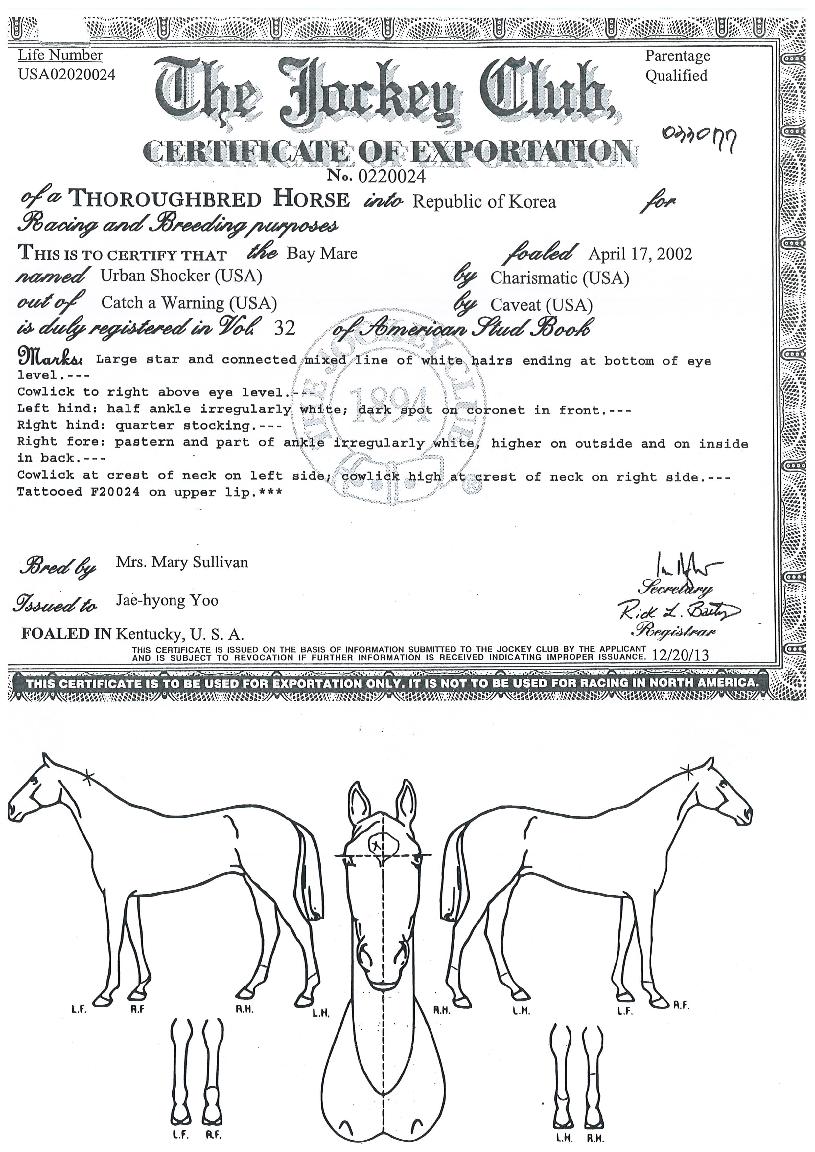 ¾î¹ø¼îÄ¿ÀÇ Ãø¸é,¿ì¸é,µÞ¸é,µÎ»ó,´Ù¸®ÀÇ Æ¯Â¡µµÇØ