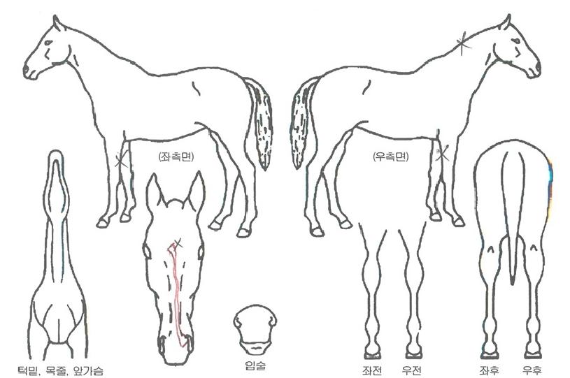 �������� ����,���,�޸�,�λ�,�ٸ��� Ư¡����