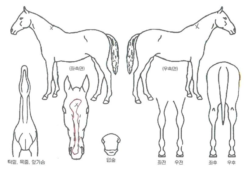 ĳ�Ͼ���ڸ��� ����,���,�޸�,�λ�,�ٸ��� Ư¡����