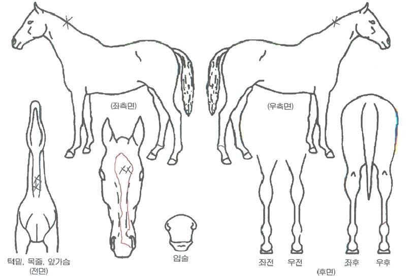 ��Ϲ��ʹϳ��� ����,���,�޸�,�λ�,�ٸ��� Ư¡����