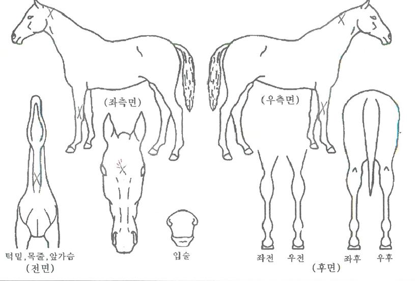 ��������� ����,���,�޸�,�λ�,�ٸ��� Ư¡����