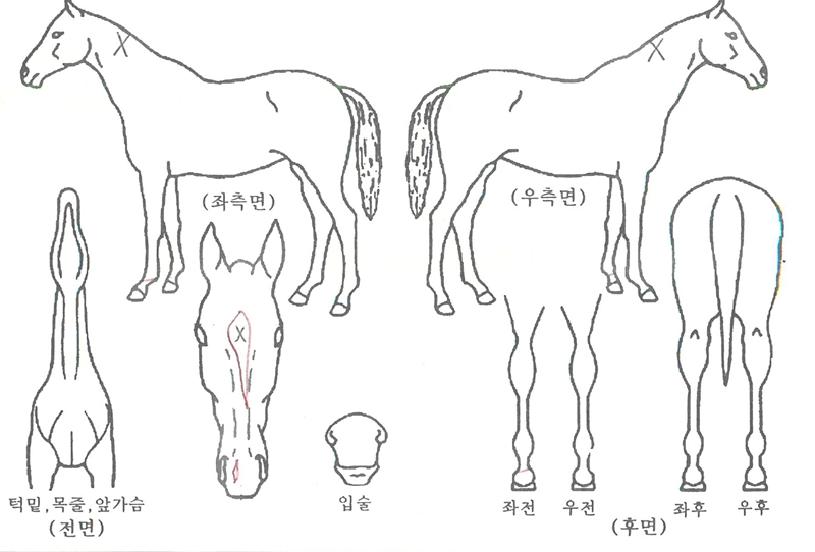 ��׽ô����� ����,���,�޸�,�λ�,�ٸ��� Ư¡����