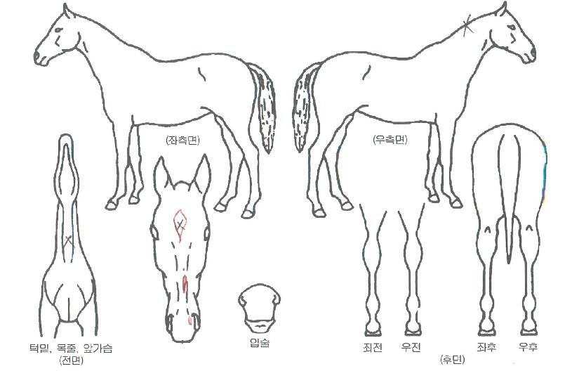 ����Ÿ�̰��� ����,���,�޸�,�λ�,�ٸ��� Ư¡����